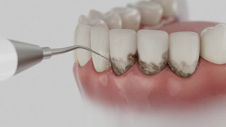 Reliable Dental contractor in Thoreau, NM by Dentist Open Now
